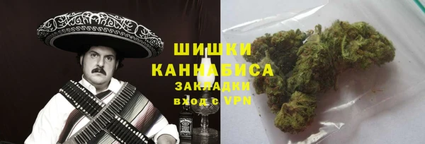 ПСИЛОЦИБИНОВЫЕ ГРИБЫ Ельня
