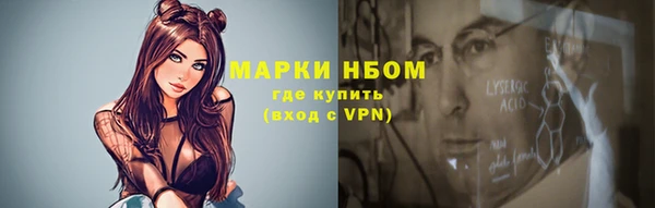 ПСИЛОЦИБИНОВЫЕ ГРИБЫ Ельня