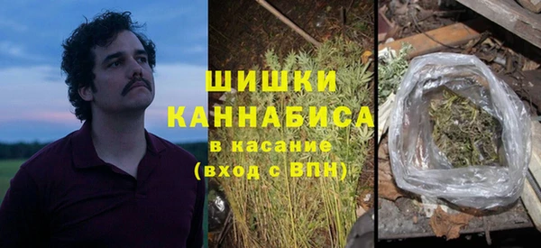 ПСИЛОЦИБИНОВЫЕ ГРИБЫ Ельня