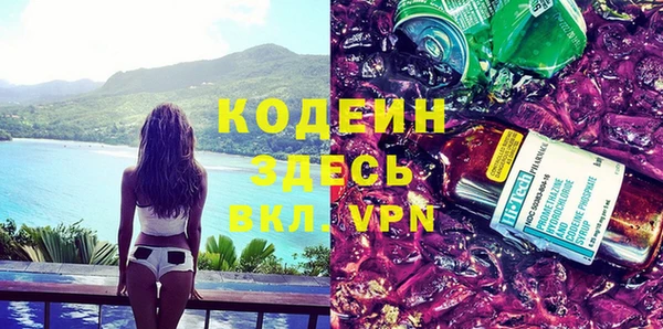 ПСИЛОЦИБИНОВЫЕ ГРИБЫ Ельня