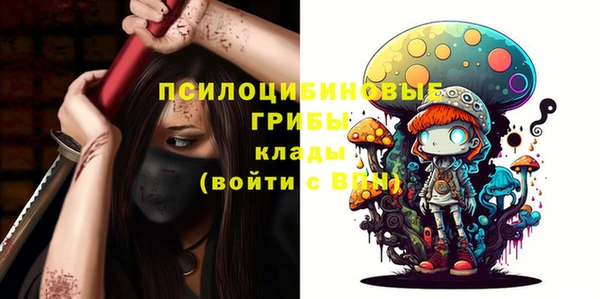 ПСИЛОЦИБИНОВЫЕ ГРИБЫ Ельня