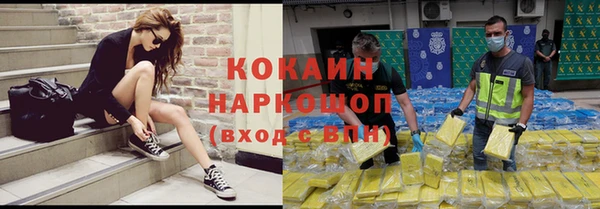 ПСИЛОЦИБИНОВЫЕ ГРИБЫ Ельня