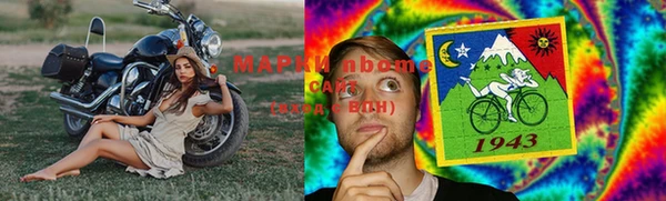 ПСИЛОЦИБИНОВЫЕ ГРИБЫ Ельня