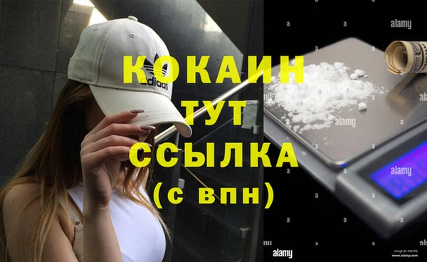 мяу мяу кристалл Елизово