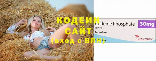 ПСИЛОЦИБИНОВЫЕ ГРИБЫ Ельня