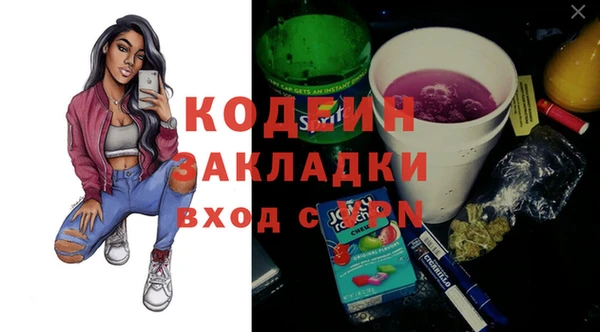 ПСИЛОЦИБИНОВЫЕ ГРИБЫ Ельня