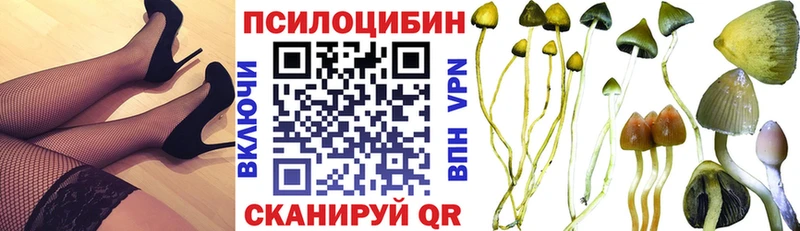 хочу   кракен как зайти  Псилоцибиновые грибы MAGIC MUSHROOMS  Ефремов 