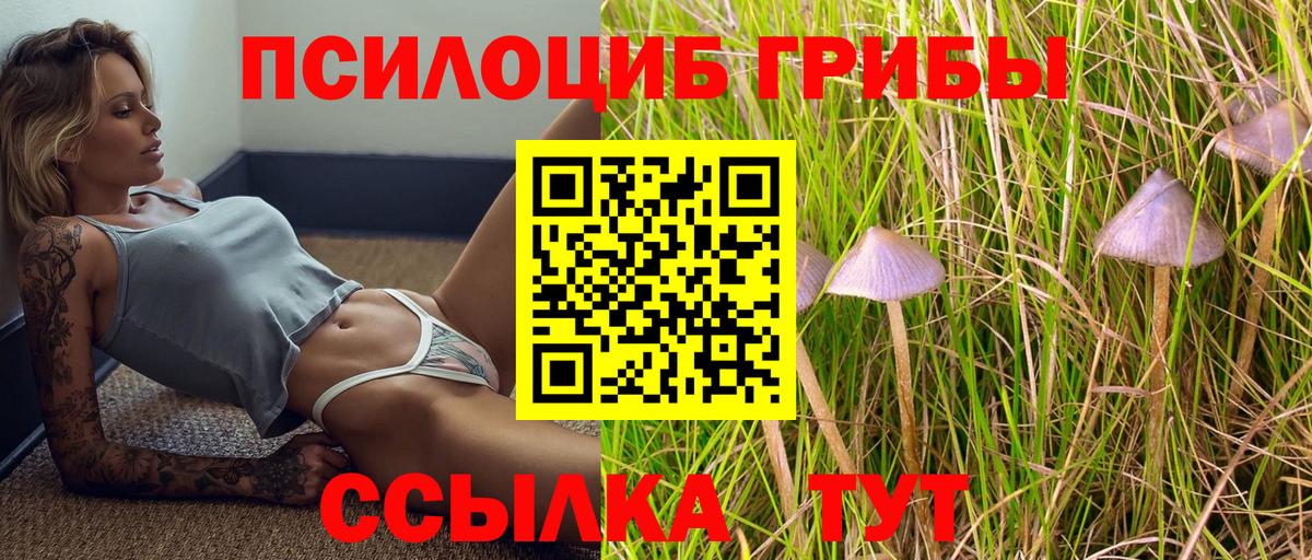Псилоцибиновые грибы мицелий  Вход с VPN  Ефремов 